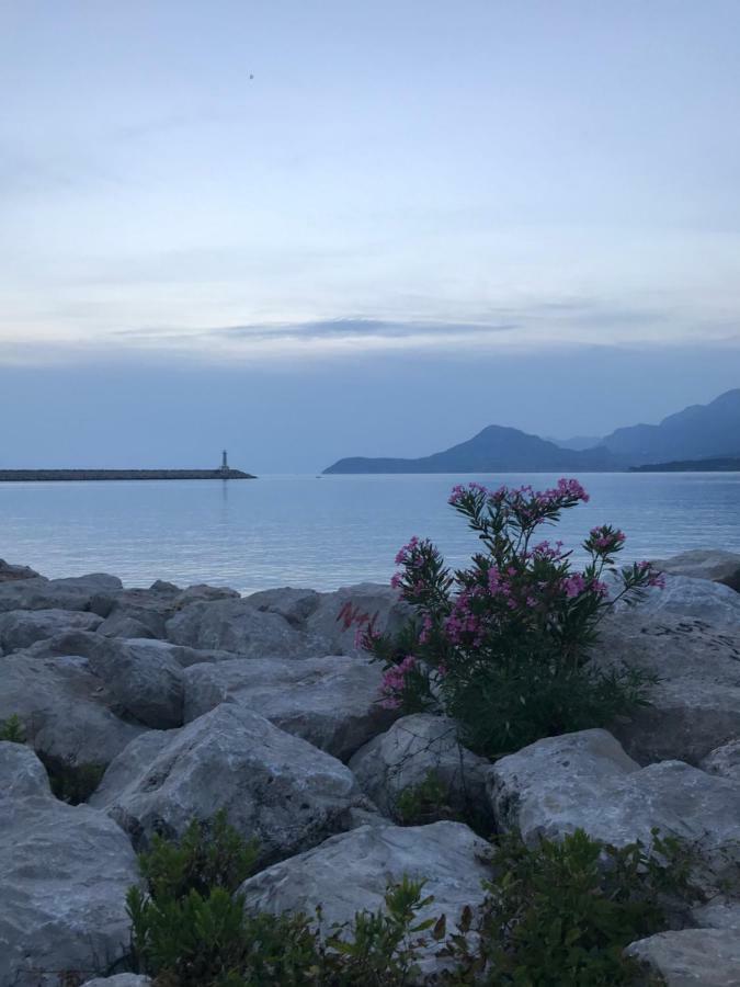 Villa Grand Bar Εξωτερικό φωτογραφία